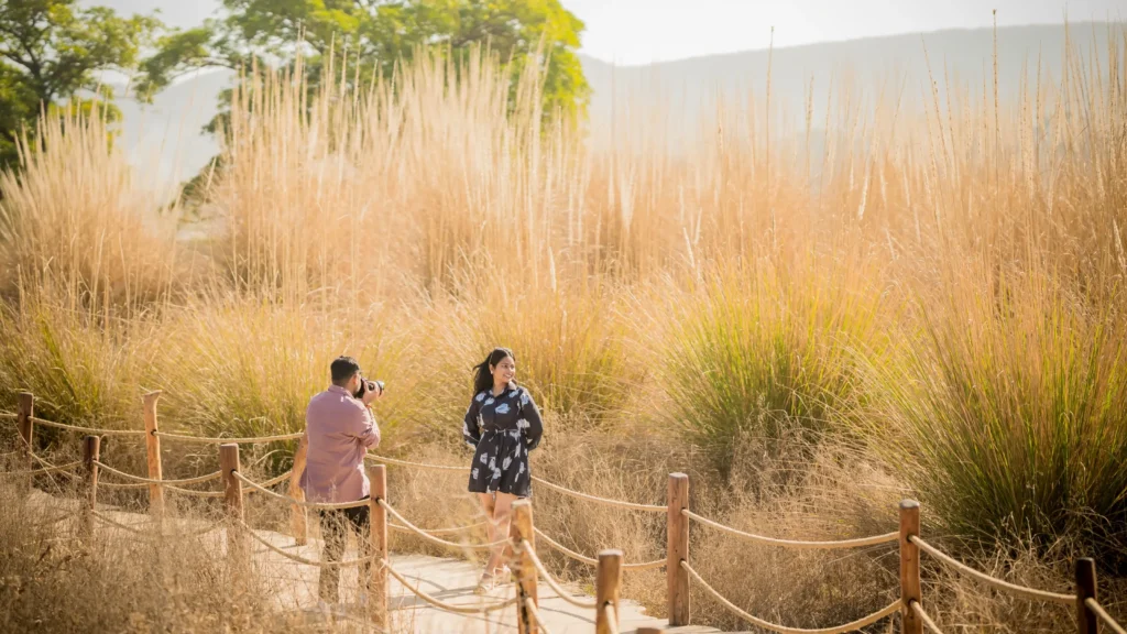 A silhouette of a couple holding hands during a pre-wedding shoot in Jaipur, featuring a leafless tree against a vibrant orange sunset sky.